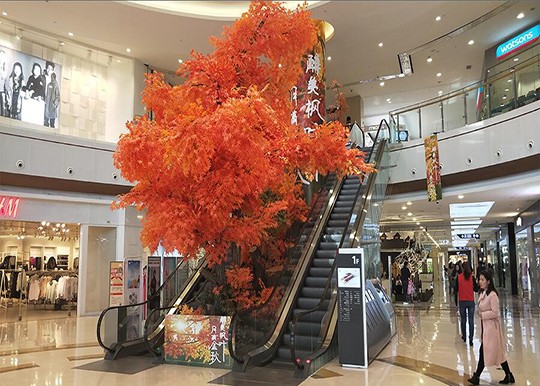 室內(nèi)dp點